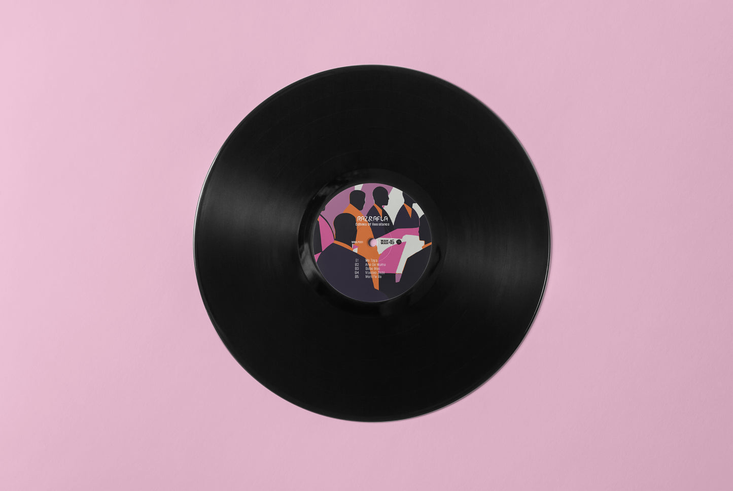 Echoes of Resistance Vinyl